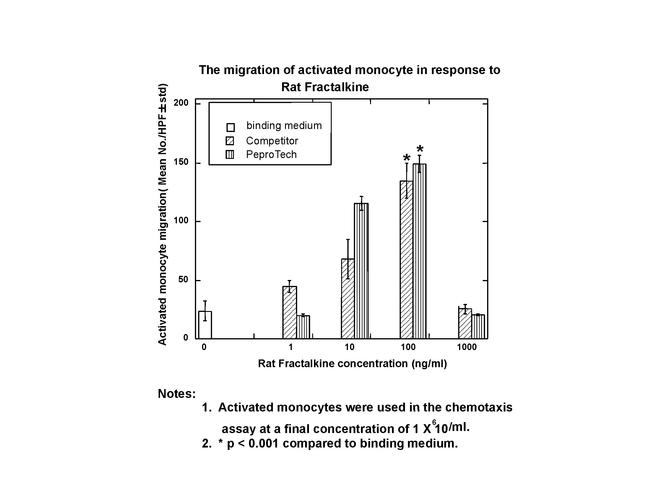 Rat Fractalkine (CX3CL1) Protein in Functional Assay (Functional)