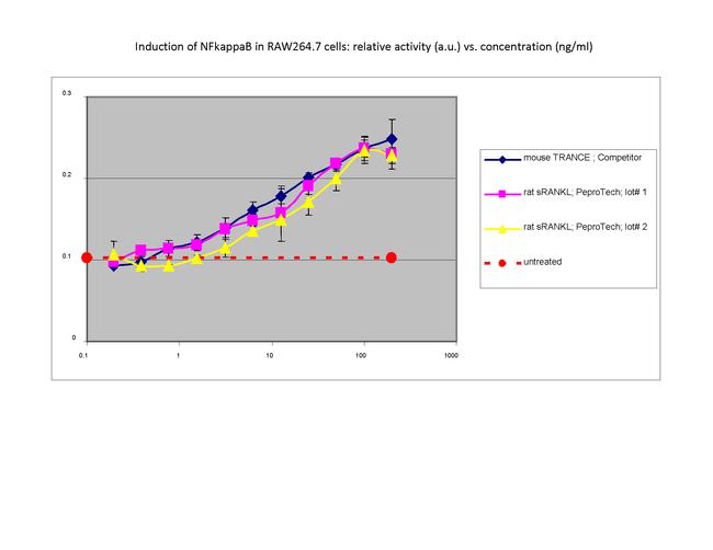 Rat TRANCE (RANKL) (soluble) Protein in Functional Assay (Functional)