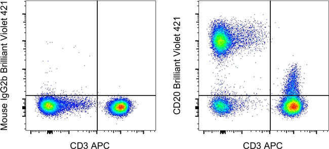 CD20 Antibody in Flow Cytometry (Flow)