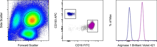 Arginase 1 Antibody in Flow Cytometry (Flow)