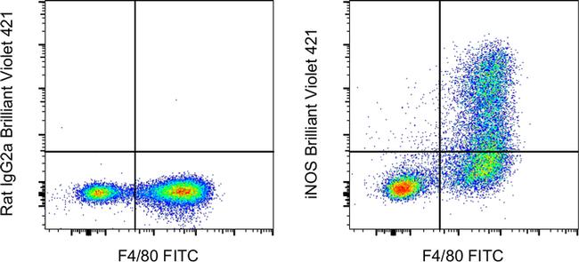 iNOS Antibody in Flow Cytometry (Flow)