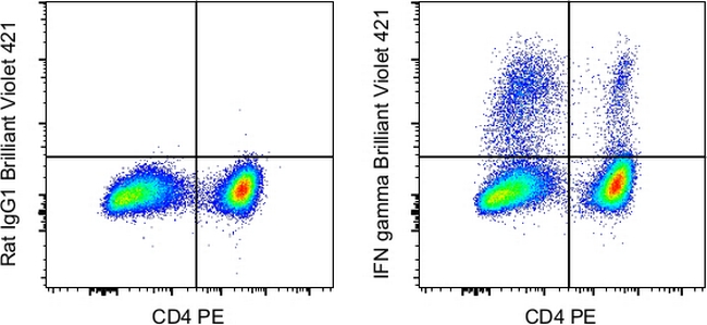 IFN gamma Antibody in Flow Cytometry (Flow)