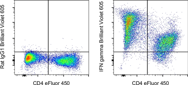 IFN gamma Antibody in Flow Cytometry (Flow)