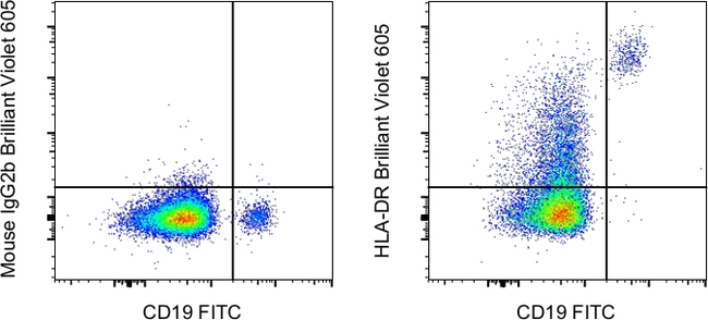 HLA-DR Antibody in Flow Cytometry (Flow)