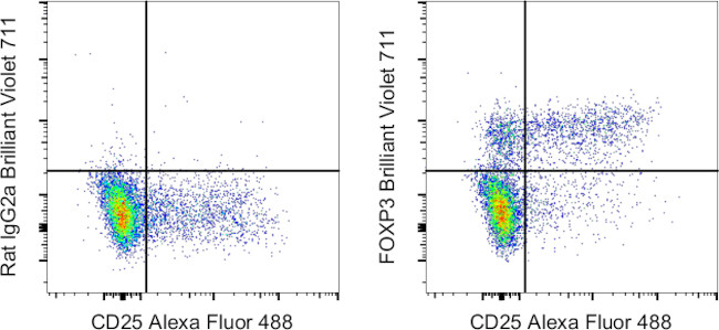 FOXP3 Antibody in Flow Cytometry (Flow)