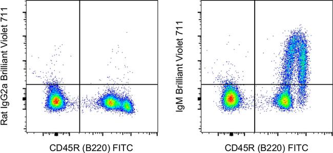 IgM Antibody in Flow Cytometry (Flow)