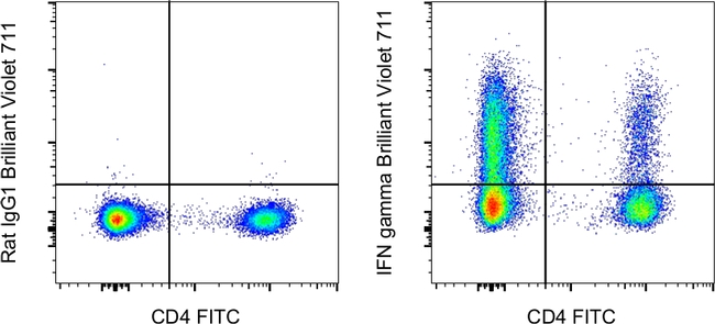 IFN gamma Antibody in Flow Cytometry (Flow)