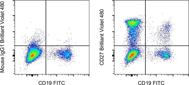 CD27 Antibody in Flow Cytometry (Flow)