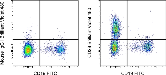 CD28 Antibody in Flow Cytometry (Flow)