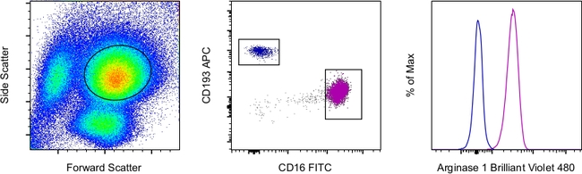 Arginase 1 Antibody in Flow Cytometry (Flow)