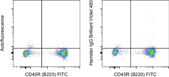 Armenian Hamster IgG Isotype Control in Flow Cytometry (Flow)