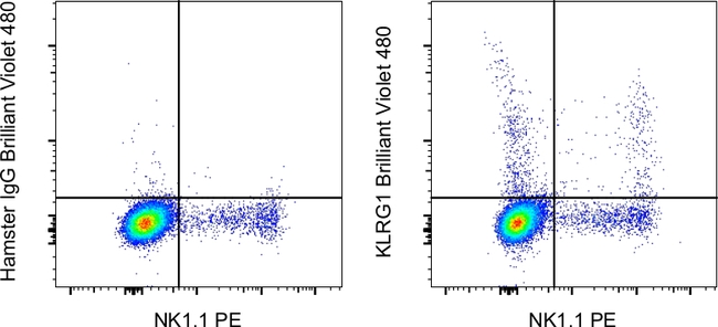 KLRG1 Antibody in Flow Cytometry (Flow)