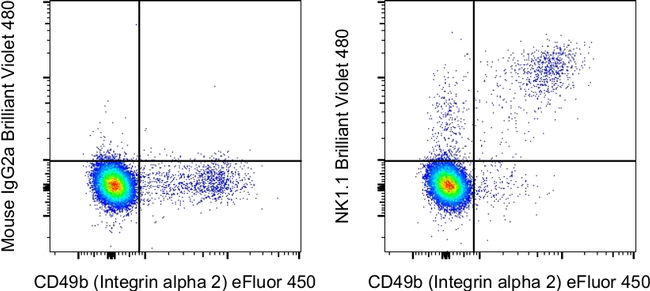 NK1.1 Antibody in Flow Cytometry (Flow)