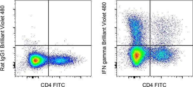 IFN gamma Antibody in Flow Cytometry (Flow)