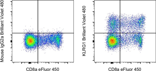 KLRG1 Antibody in Flow Cytometry (Flow)