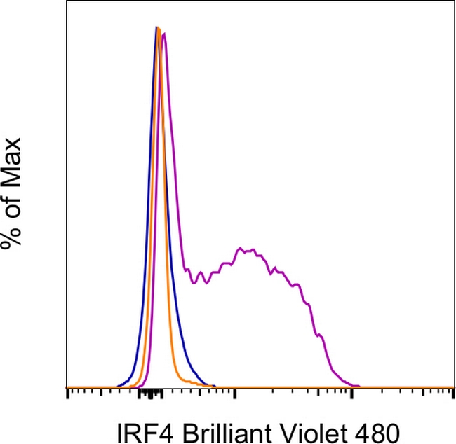 IRF4 Antibody in Flow Cytometry (Flow)