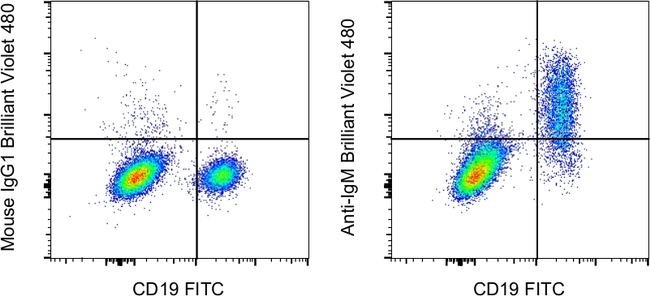 IgM Antibody in Flow Cytometry (Flow)