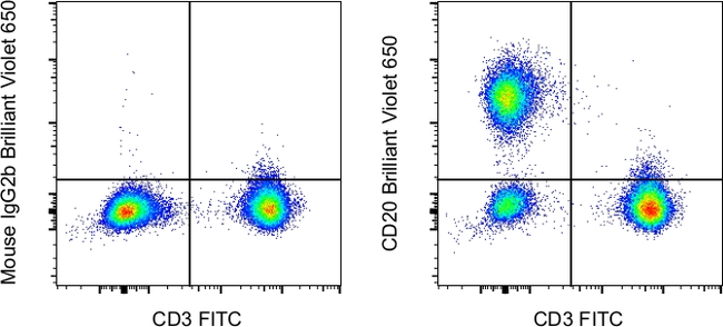 CD20 Antibody in Flow Cytometry (Flow)