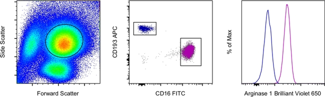 Arginase 1 Antibody in Flow Cytometry (Flow)