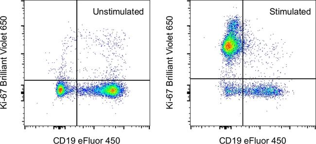 Ki-67 Antibody in Flow Cytometry (Flow)