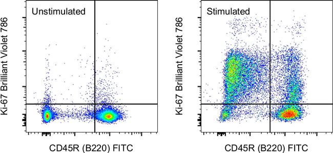 Ki-67 Antibody in Flow Cytometry (Flow)