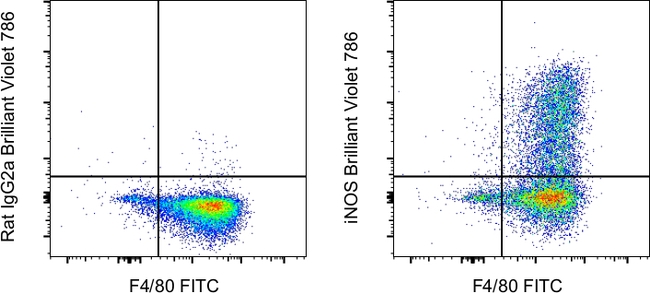 iNOS Antibody in Flow Cytometry (Flow)