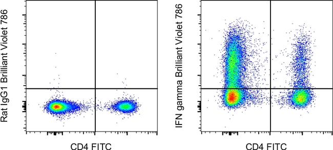 IFN gamma Antibody in Flow Cytometry (Flow)