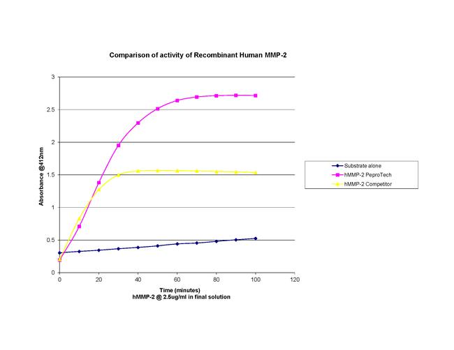 Human MMP-2 Protein in Functional Assay (Functional)