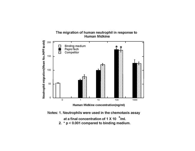 Human Midkine (MK) Protein in Functional Assay (Functional)