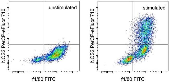 iNOS Antibody in Flow Cytometry (Flow)