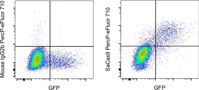 Staphylococcus aureus Cas9 Antibody in Flow Cytometry (Flow)