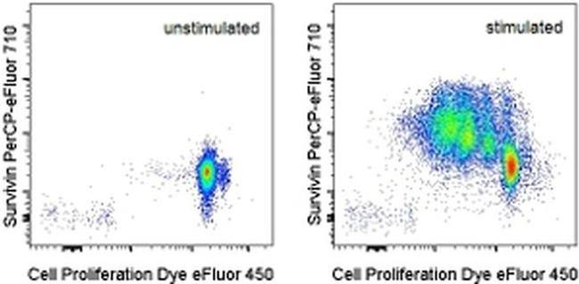 Survivin Antibody in Flow Cytometry (Flow)