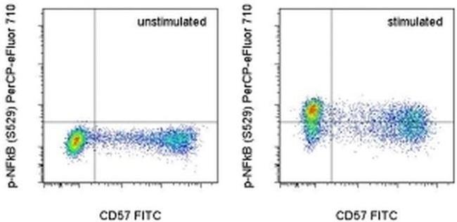 Phospho-NFkB p65 (Ser529) Antibody in Flow Cytometry (Flow)