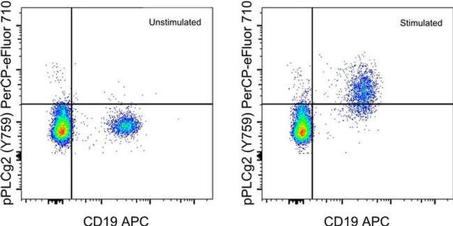 Phospho-PLCG2 (Tyr759) Antibody in Flow Cytometry (Flow)