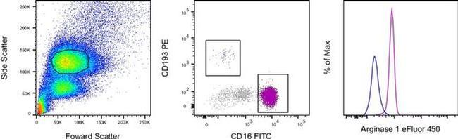 Arginase 1 Antibody in Flow Cytometry (Flow)