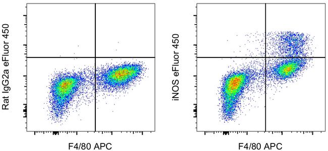 iNOS Antibody in Flow Cytometry (Flow)