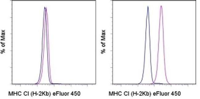 MHC Class I (H-2Kb) Antibody in Flow Cytometry (Flow)