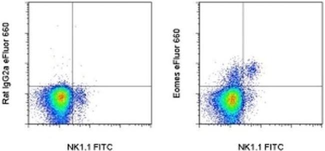 EOMES Antibody in Flow Cytometry (Flow)