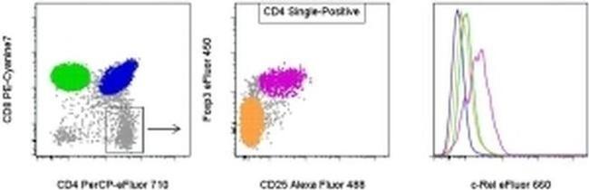 c-Rel Antibody in Flow Cytometry (Flow)