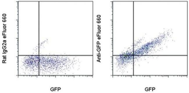 GFP Antibody in Flow Cytometry (Flow)