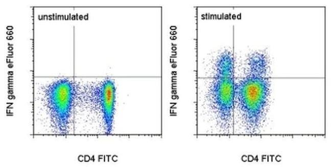 IFN gamma Antibody in Flow Cytometry (Flow)