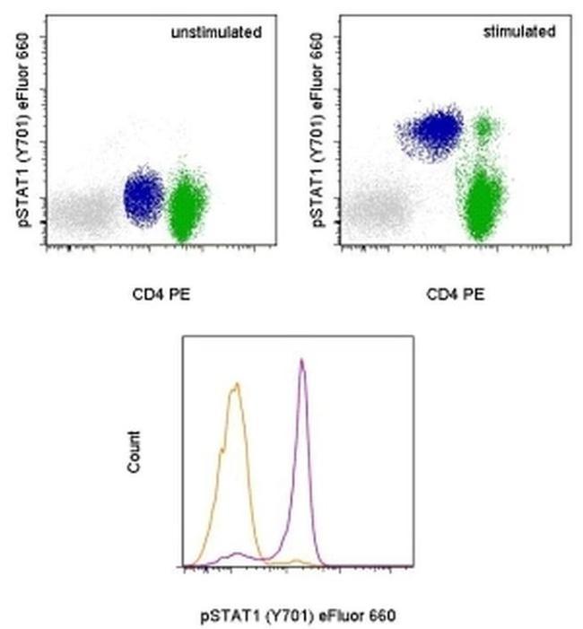 Phospho-STAT1 (Tyr701) Antibody in Flow Cytometry (Flow)