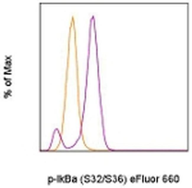 Phospho-IkB alpha (Ser32, Ser36) Antibody in Flow Cytometry (Flow)