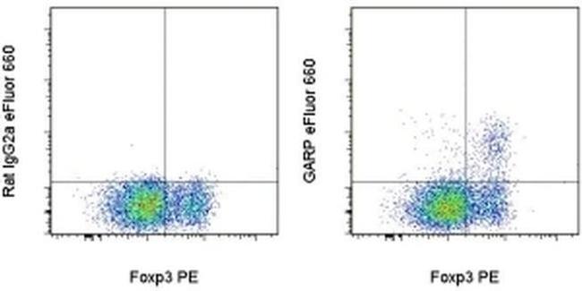 GARP Antibody in Flow Cytometry (Flow)