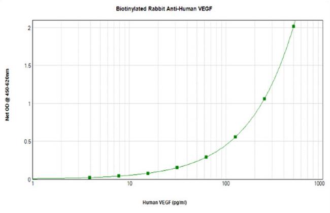 VEGF-165 Antibody in ELISA (ELISA)