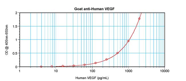 VEGF-165 Antibody in ELISA (ELISA)