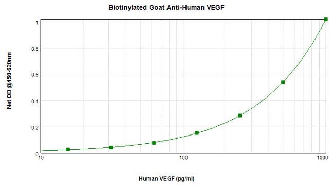 VEGF-165 Antibody in ELISA (ELISA)