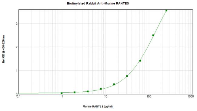 CCL5 (RANTES) Antibody in ELISA (ELISA)