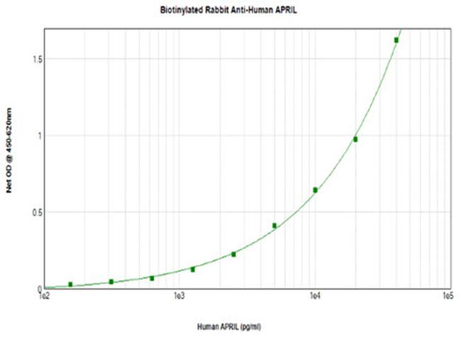 APRIL Antibody in ELISA (ELISA)