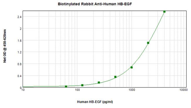 HBEGF Antibody in ELISA (ELISA)